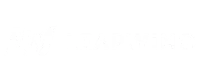 Mastering Academy | Pro Mixing Coaching | Partner | Leapwing Logo