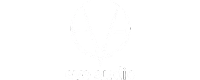Mastering Academy | Partner | Eve Audio Logo